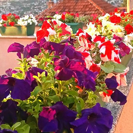 Garden Free Parking Διαμέρισμα Σαράγεβο Εξωτερικό φωτογραφία