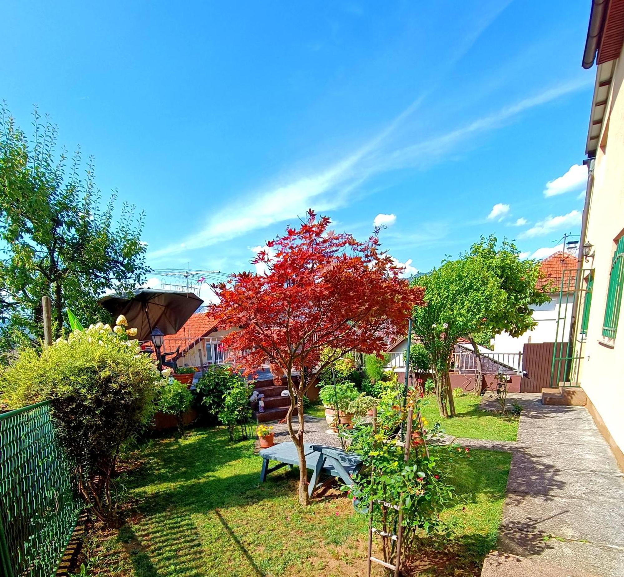 Garden Free Parking Διαμέρισμα Σαράγεβο Δωμάτιο φωτογραφία